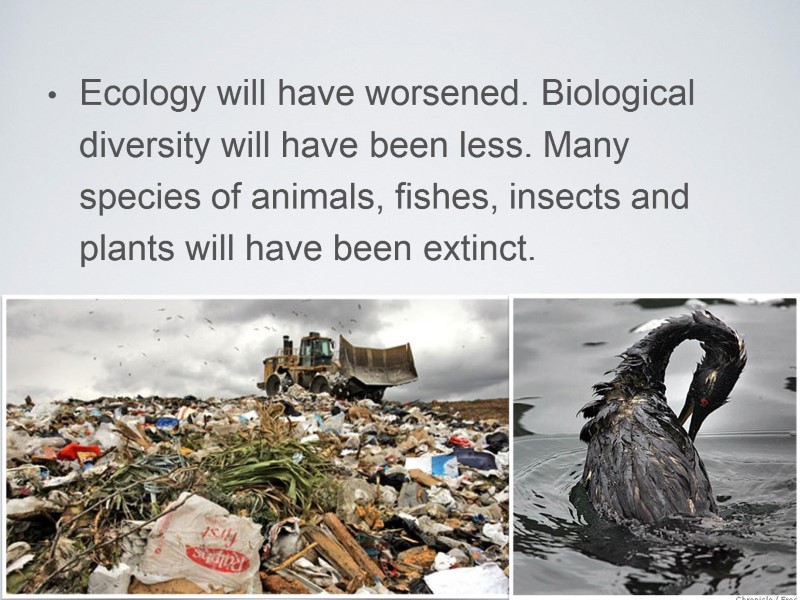 Ecology will have worsened. Biological diversity will have been less. Many species of animals,